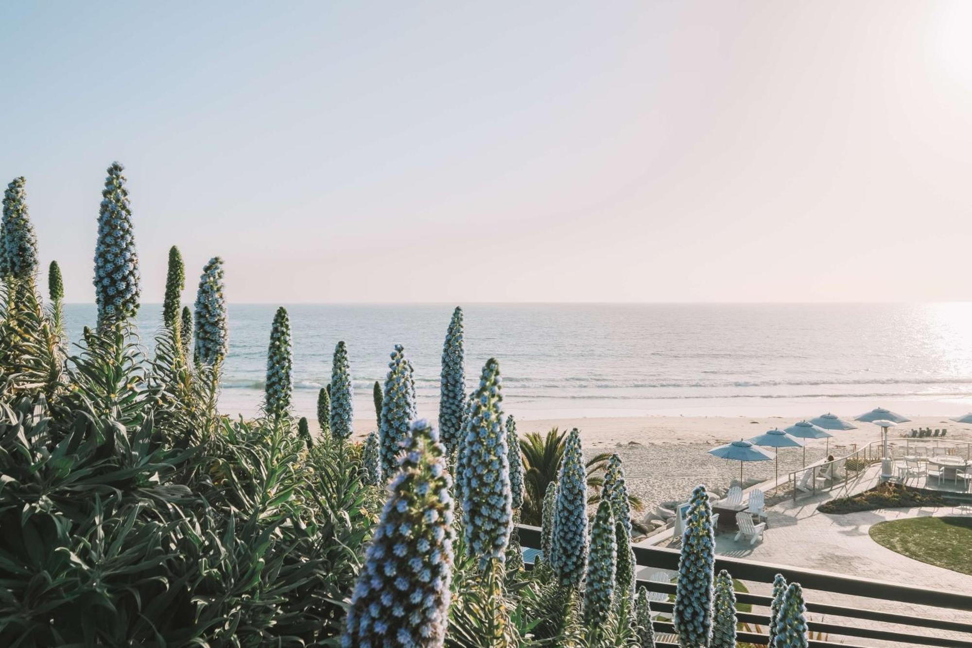 Waldorf Astoria Monarch Beach Resort & Club Dana Point Exteriör bild
